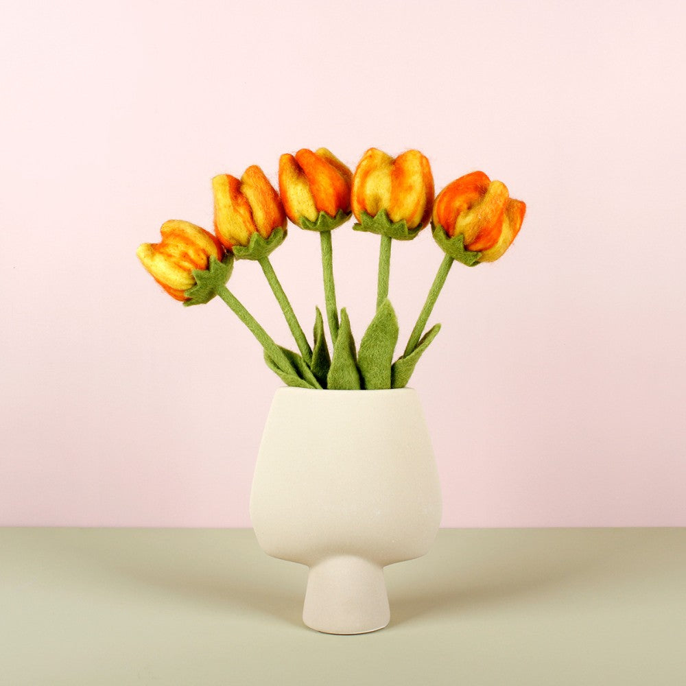 Bloem: tulp Olivia