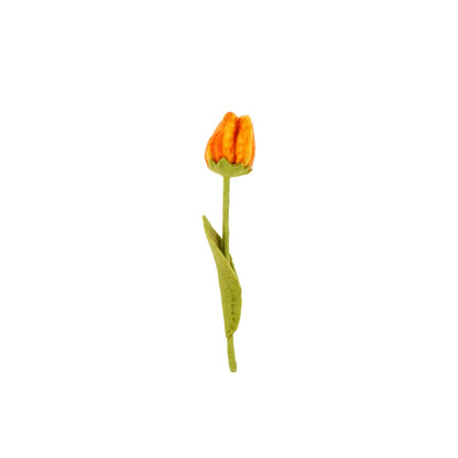 Bloem: tulp Olivia
