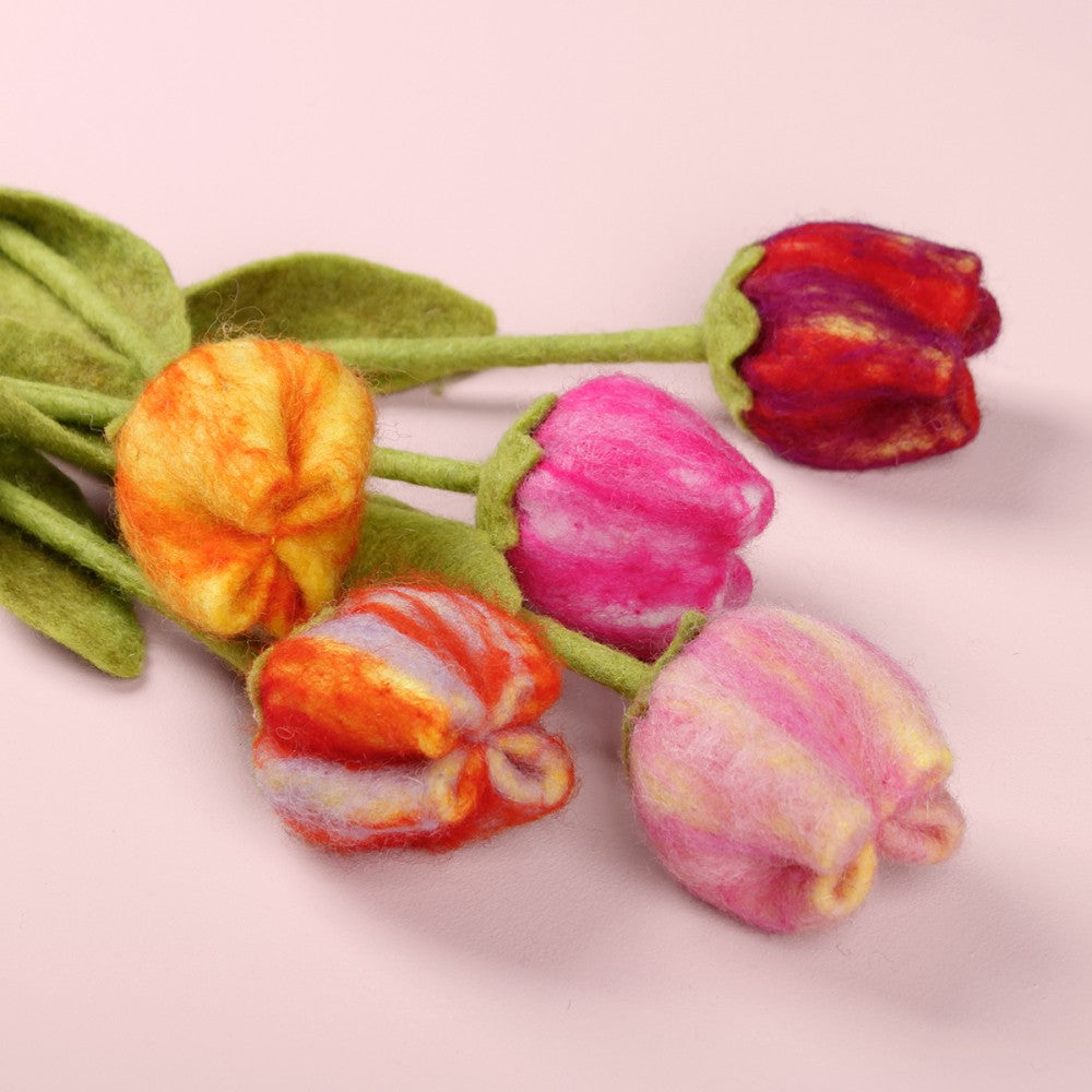 Bloem: tulp Fey