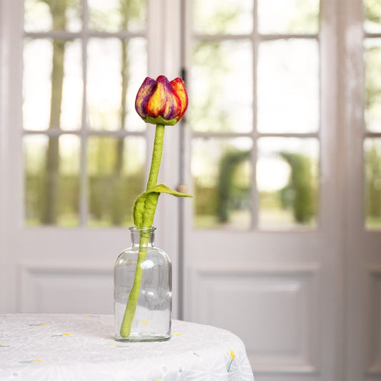 Bloem: tulp Pien