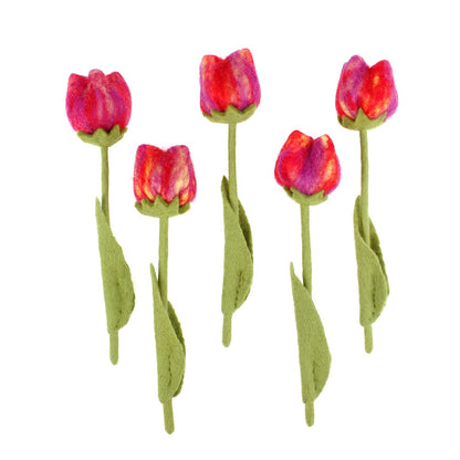 Bloem: tulp Pien