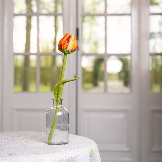 Bloem: tulp Riva