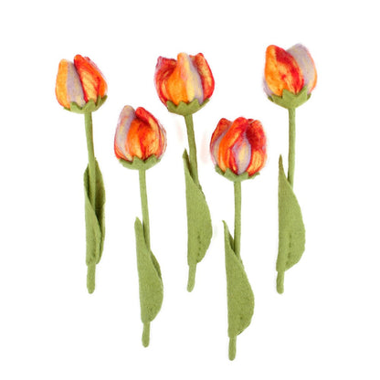 Bloem: tulp Riva