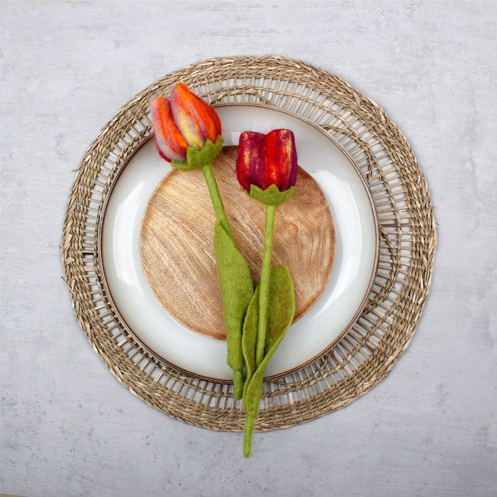 Bloem: tulp Riva