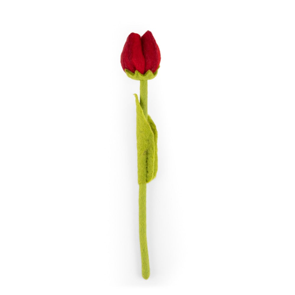 Tulp Robin