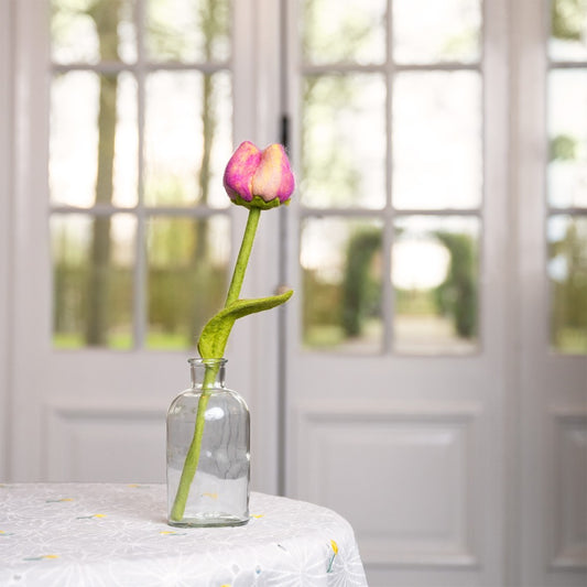 Bloem: tulp Romy