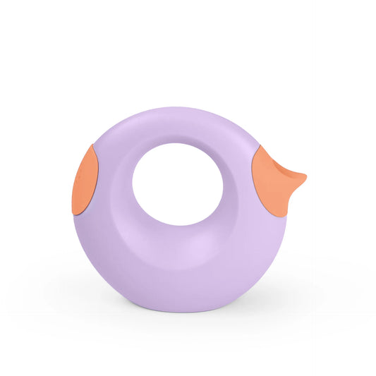 Cana small lavender