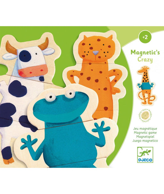Djeco magneetspel crazy