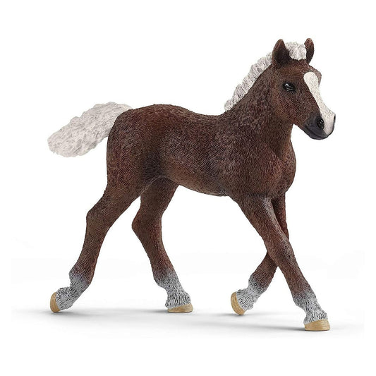 Schleich 17077 Schwarzwalder veulen