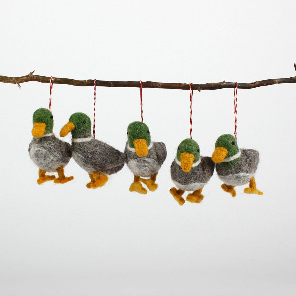 Eend hanger
