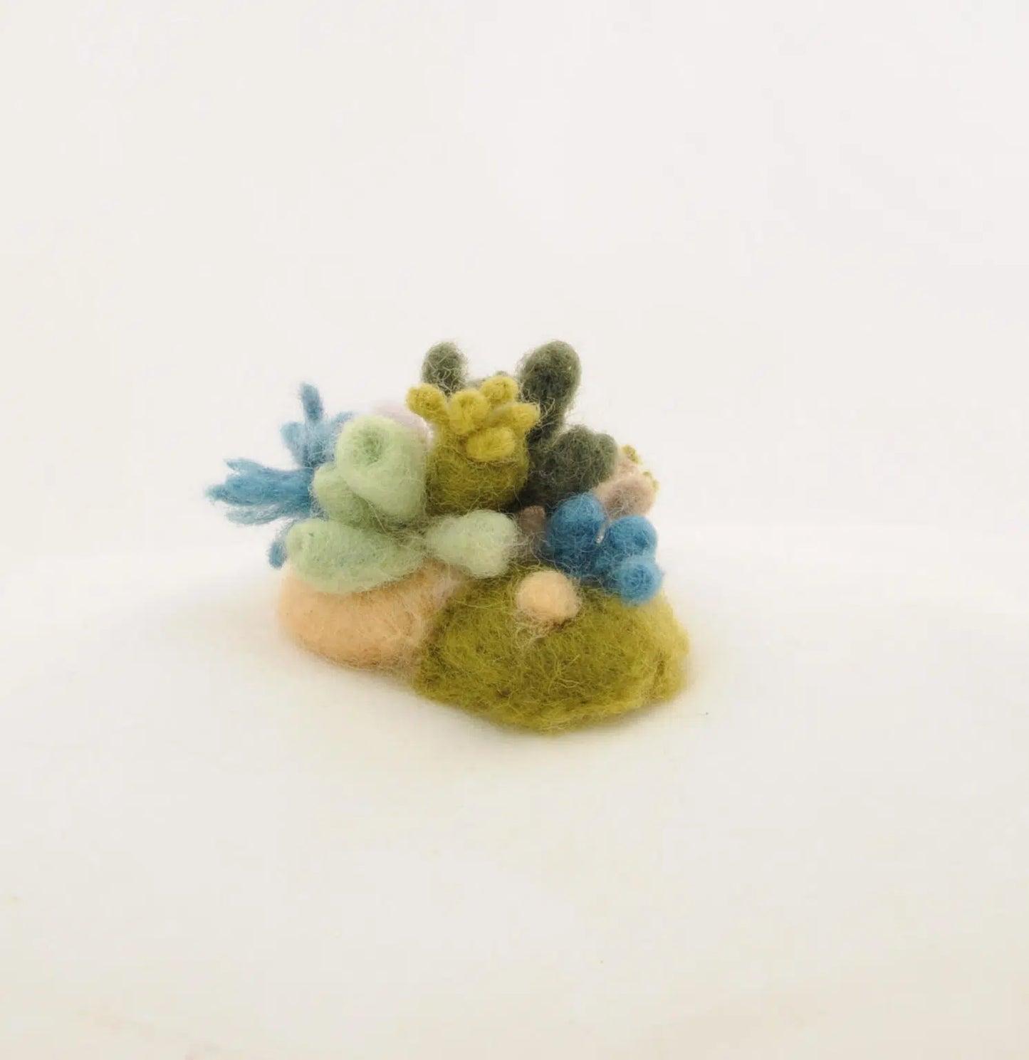 Startersset naaldvilten SeaLife