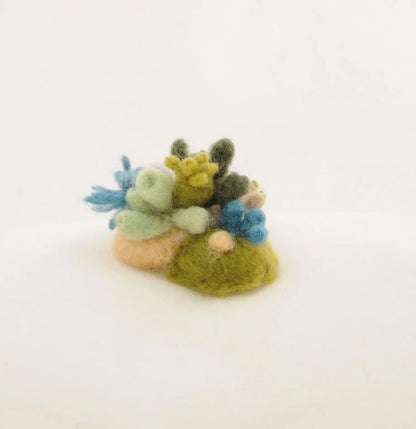 Startersset naaldvilten SeaLife