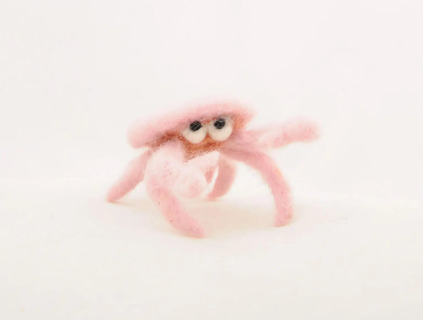 Startersset naaldvilten SeaLife