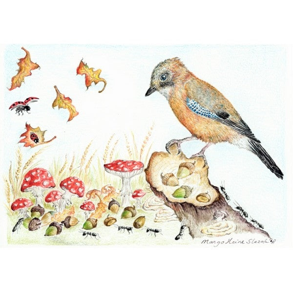 Eentje van Margo - gaai in de herfst