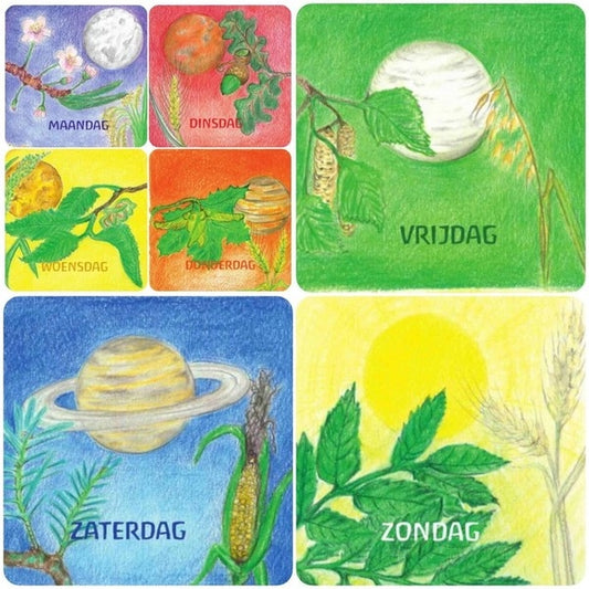 Kaartenset dagen van de week