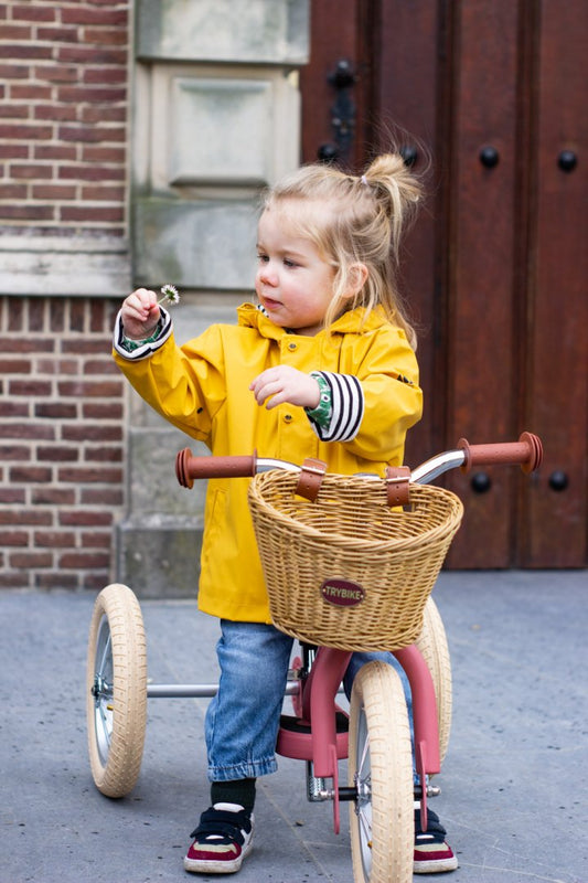Trybike steel mandje