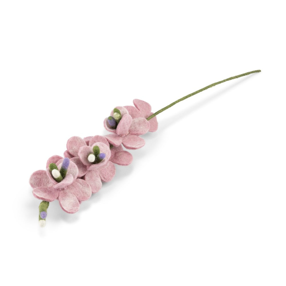 Ridderspoor roze