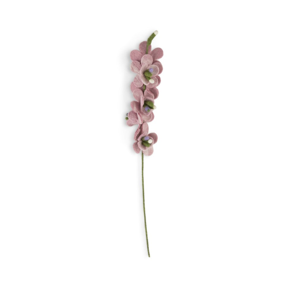 Ridderspoor roze