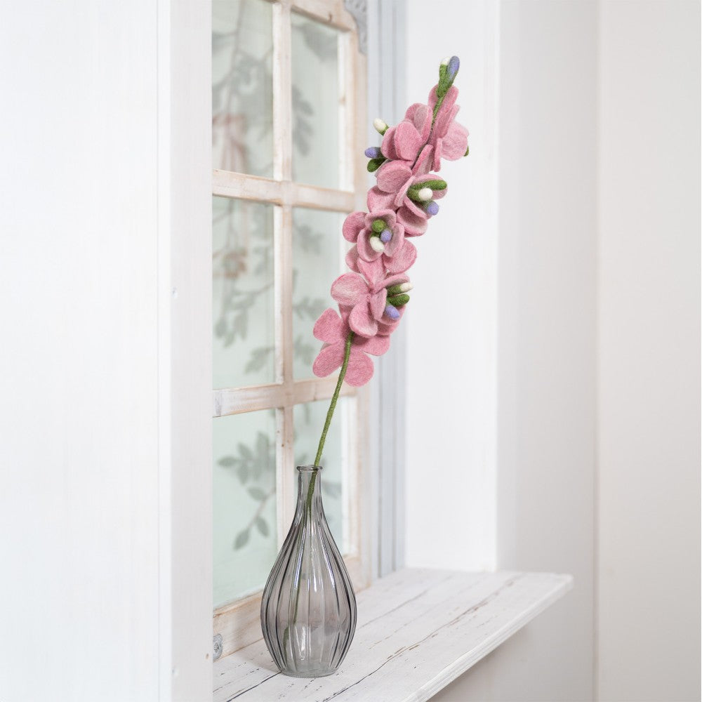 Ridderspoor roze