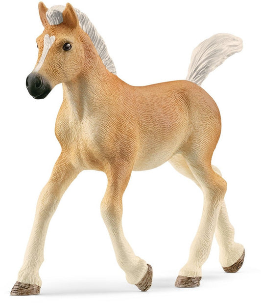 Schleich 13951 Haflinger veulen