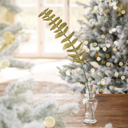 Tak eucalyptus lichtgroen