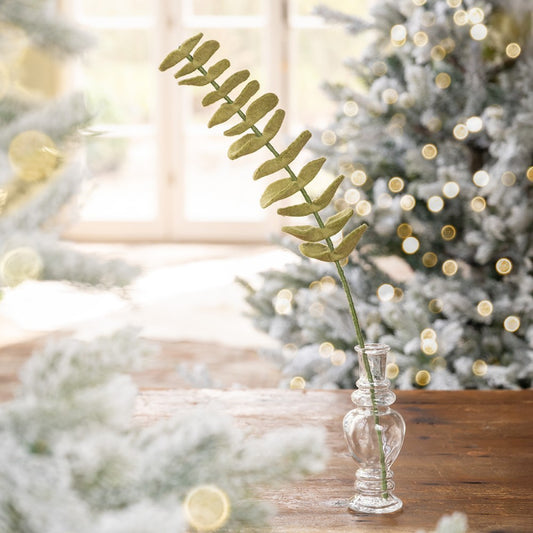 Tak eucalyptus lichtgroen