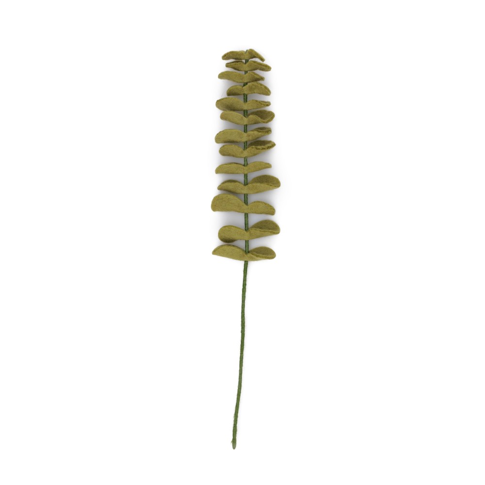 Tak eucalyptus lichtgroen