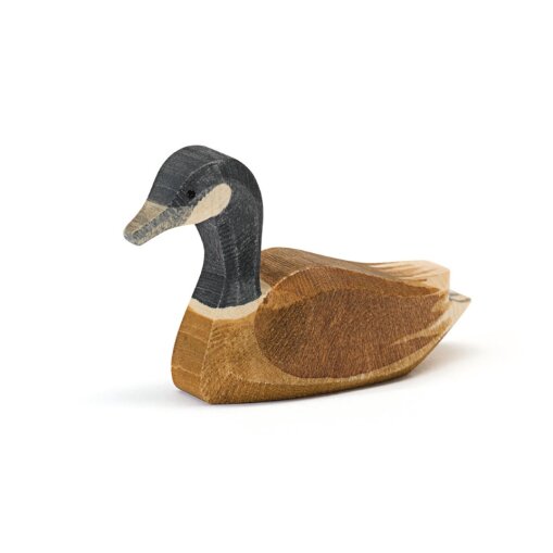 Ostheimer 22703 Canadese gans zwemmend