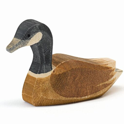 Ostheimer 22703 Canadese gans zwemmend