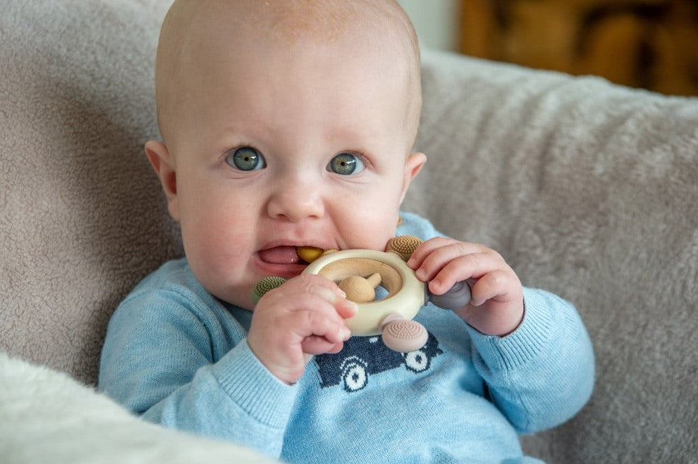 Tickit silisoft rattle teether aardekleuren