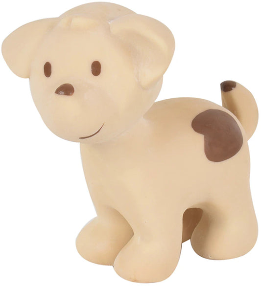 Tikiri rattle and bath toy hond