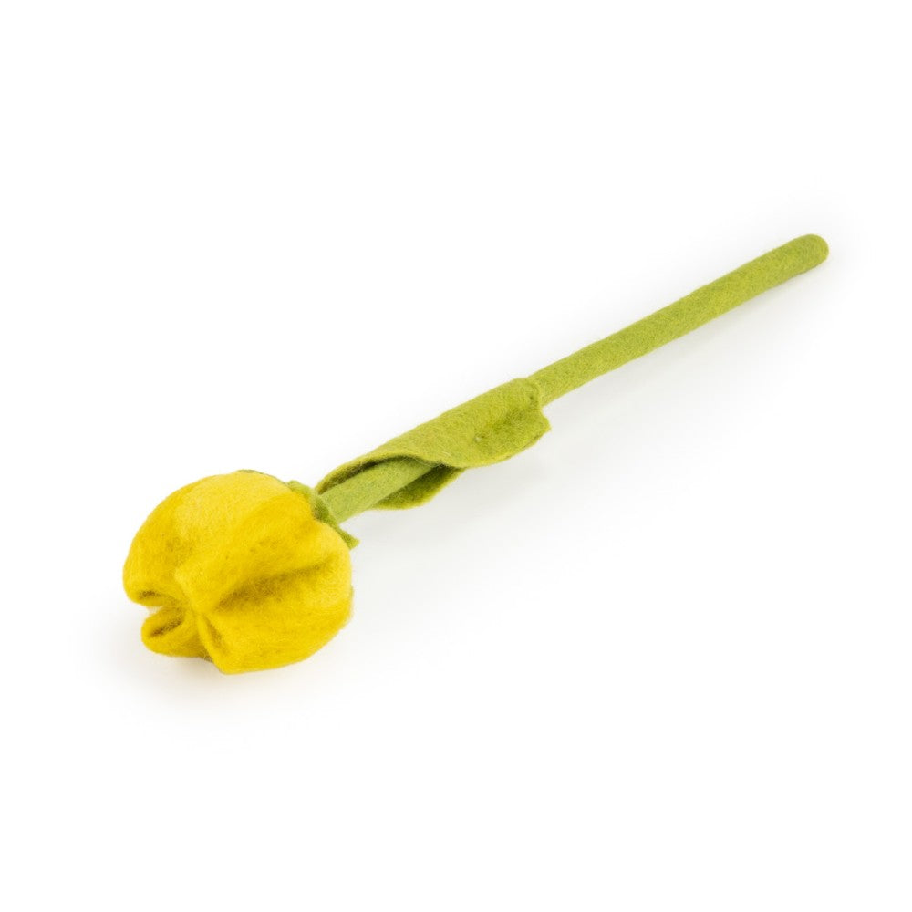 Tulp Gwen