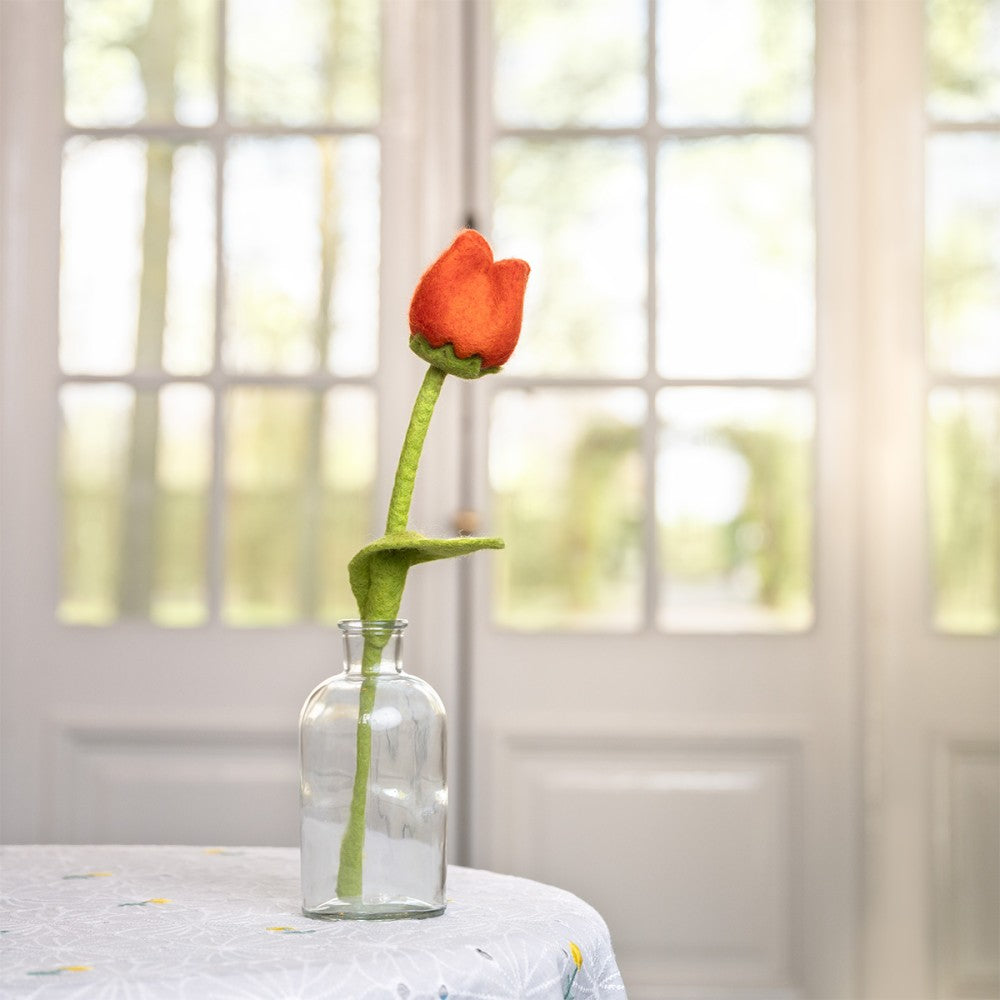 Tulp Odile