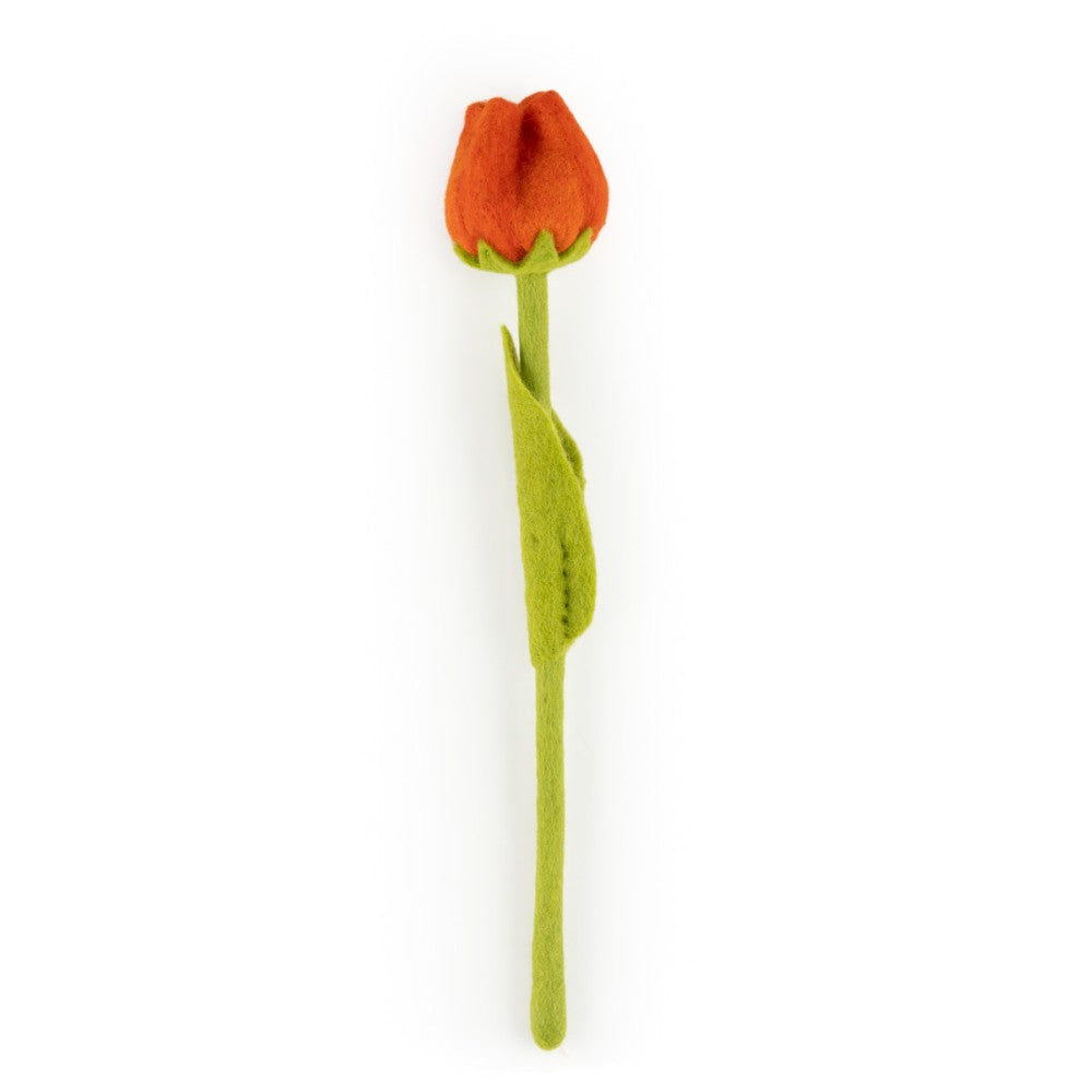 Tulp Odile