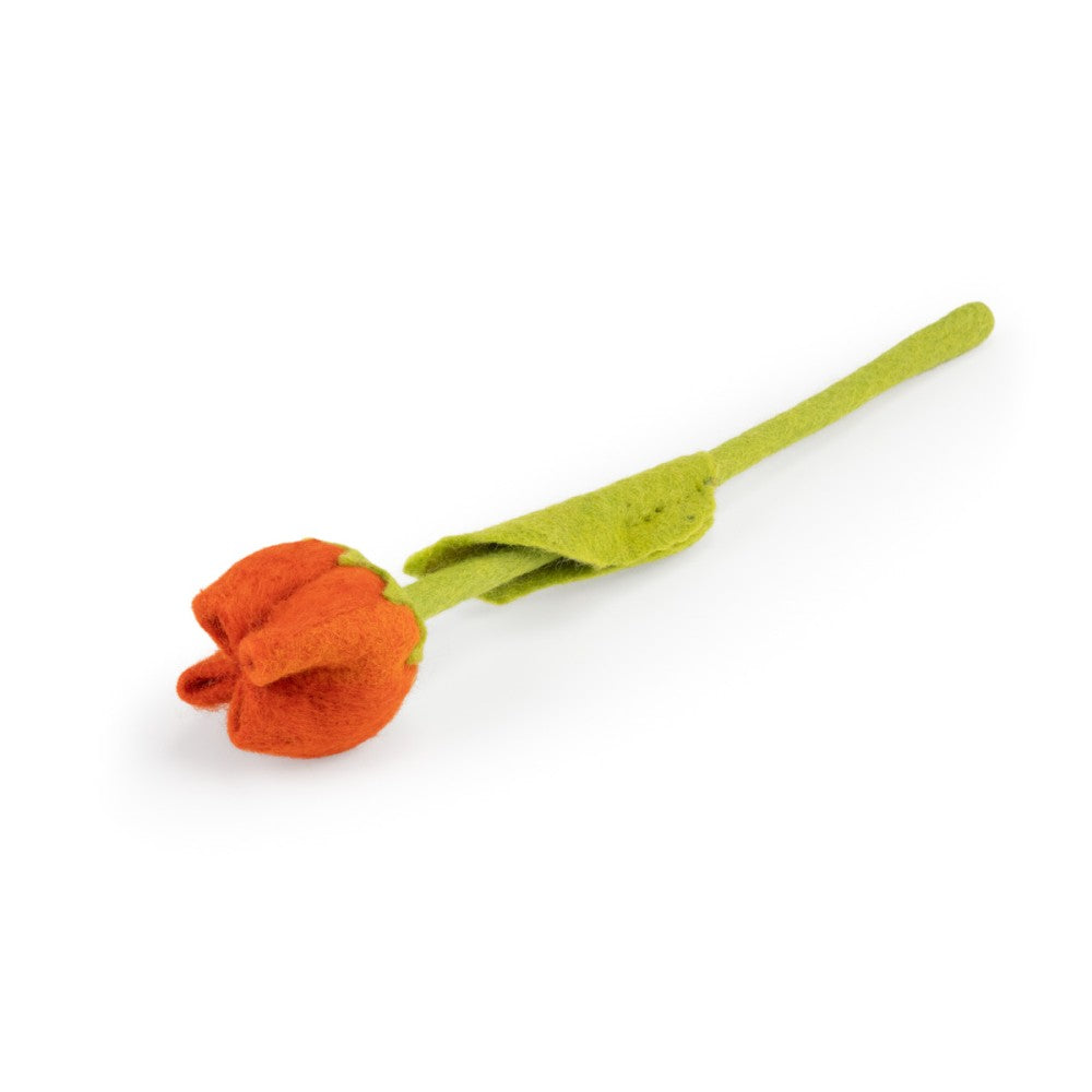Tulp Odile