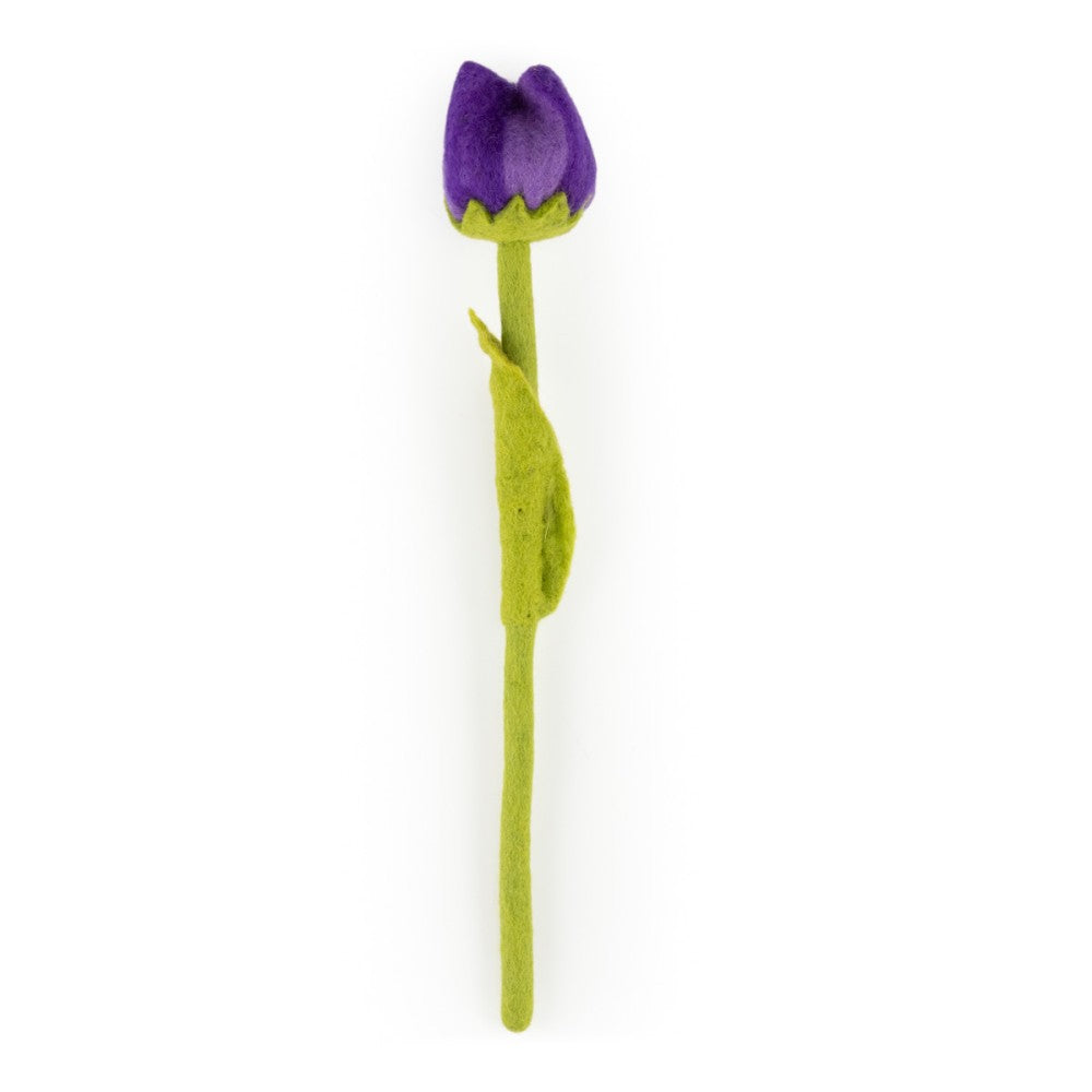 Tulp Pleun