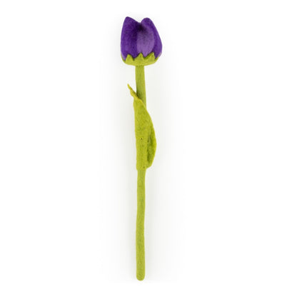 Tulp Pleun