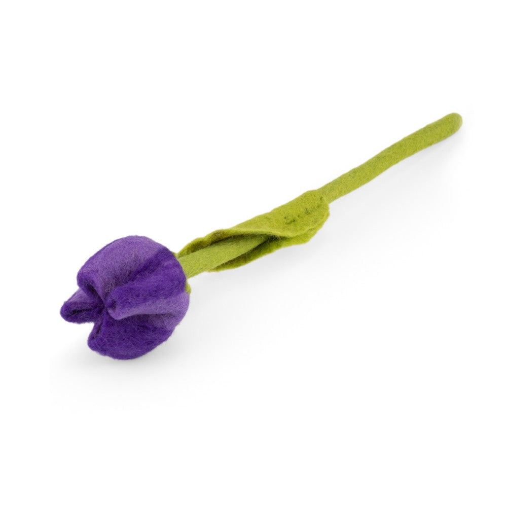 Tulp Pleun