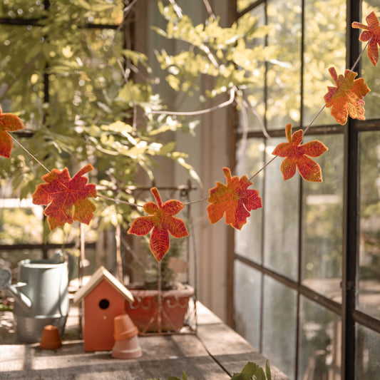 Viltslinger herfstblad Indian summer