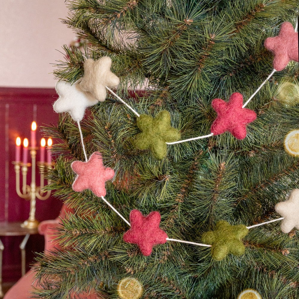 Viltslinger ster mistletoe dreams