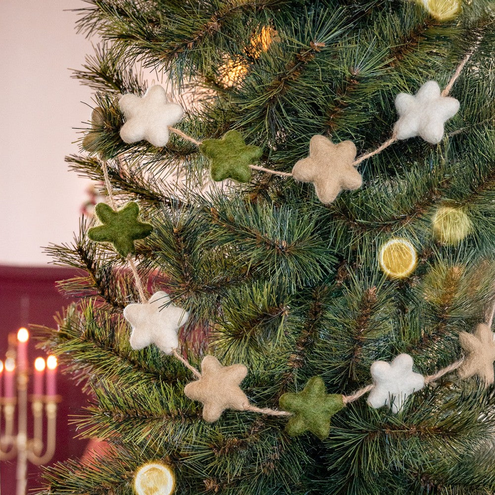 Viltslinger ster mistletoe