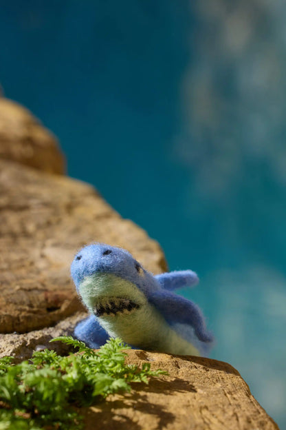 Startersset naaldvilten SeaLife